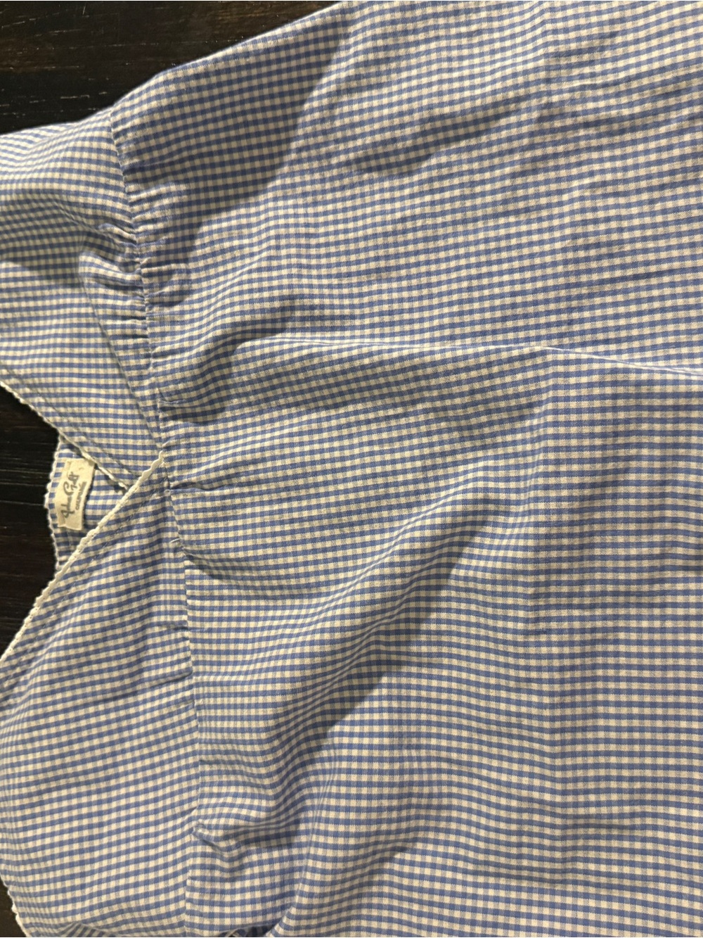 Lee Men's Blue and White Gingham Button-Down Shirt